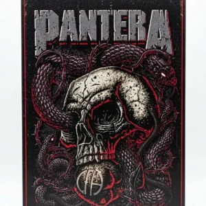 Метъл картина Pantera за стена с червени детайли и череп